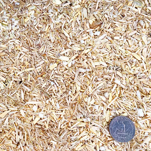 h2